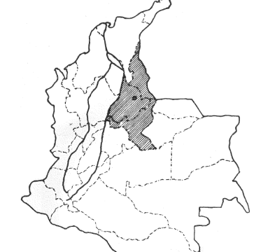 Ingeniería del Oriente 25 - 26