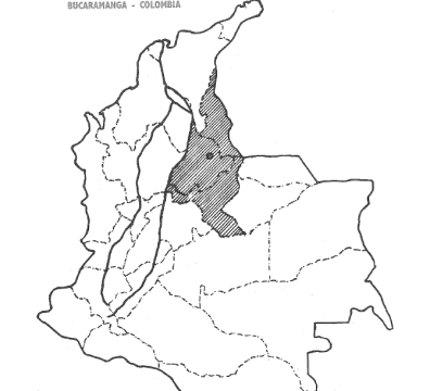 Ingeniería del Oriente 31 - 32