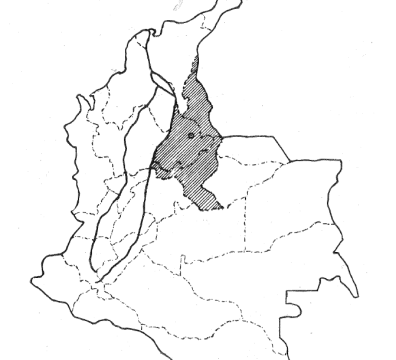 Ingeniería del Oriente 9